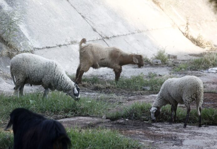 Χακάν Φιντάν υπουργός Εξωτερικών Τουρκίας παραβίαση εναέριου χώρου