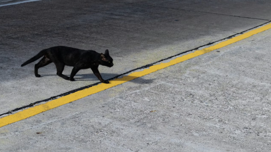 Παρασκευή και 13 ημερολόγιο γρουσούζικη ημέρα