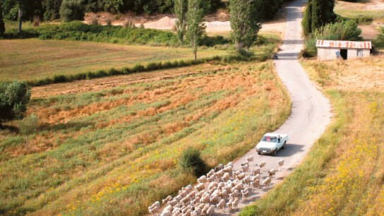 ΟΠΕΚΕΠΕ επιδοτήσεις αιγοπρόβατα Κρήτη δικαστήριο Σημανδράκος