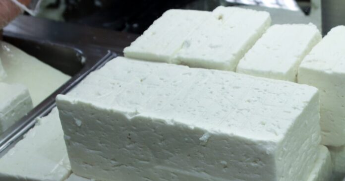 τυροκομικές μονάδες Λέσβου παραγωγή τυριού κτηνοτροφία