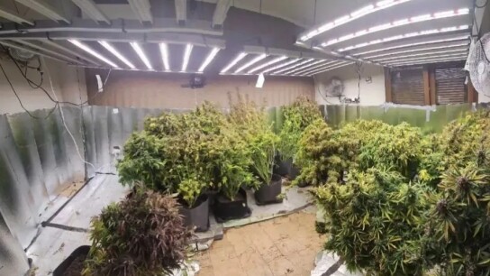 Εργαστήριο υδροπονικής κάνναβης Θεσσαλονίκη αστυνομική επιχείρηση
