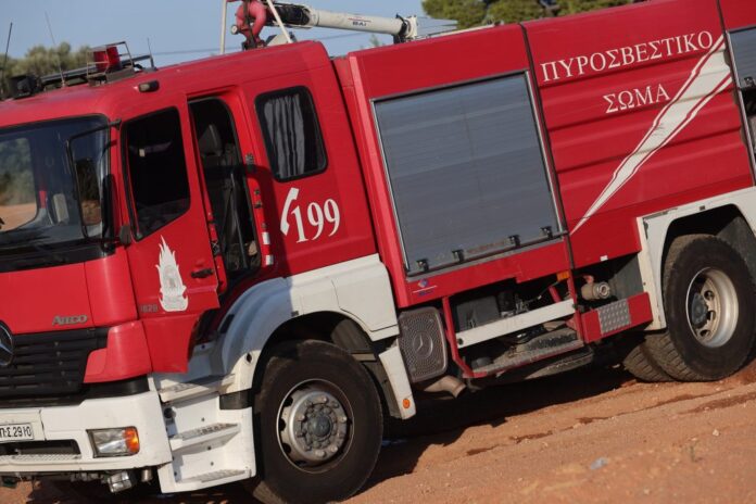 Θανατηφόρο ατύχημα Υπάτη πτώση δέντρου