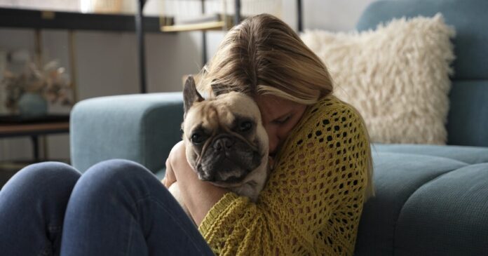 Άνθρωπος με σκύλο κατοικίδιο ψυχική υγεία