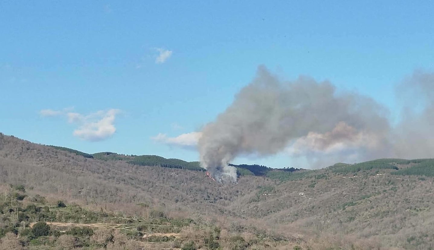 Πυροσβεστικά οχήματα στη δασική πυρκαγιά Λακωνίας