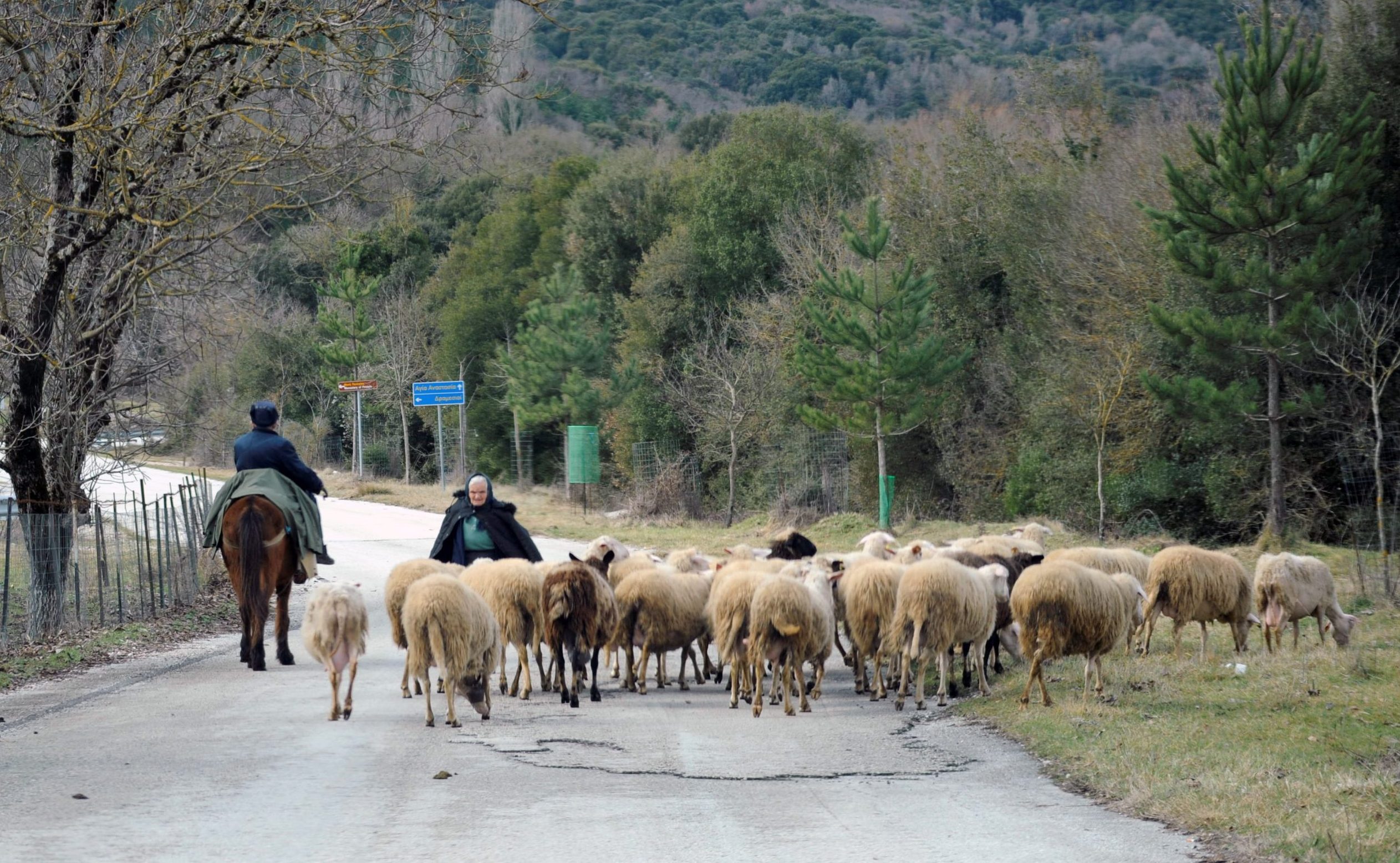εγγραφές ΕΑΠ ηλεκτρονική πλατφόρμα αιτήσεων