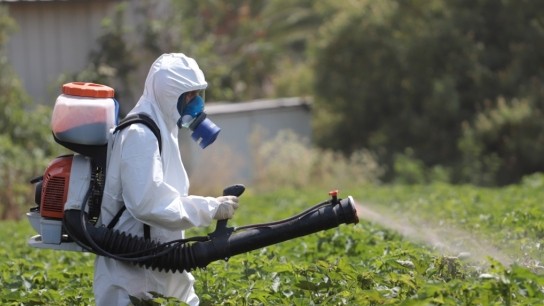 φυτοφάρμακα καρκίνος κίνδυνος έρευνα υγεία